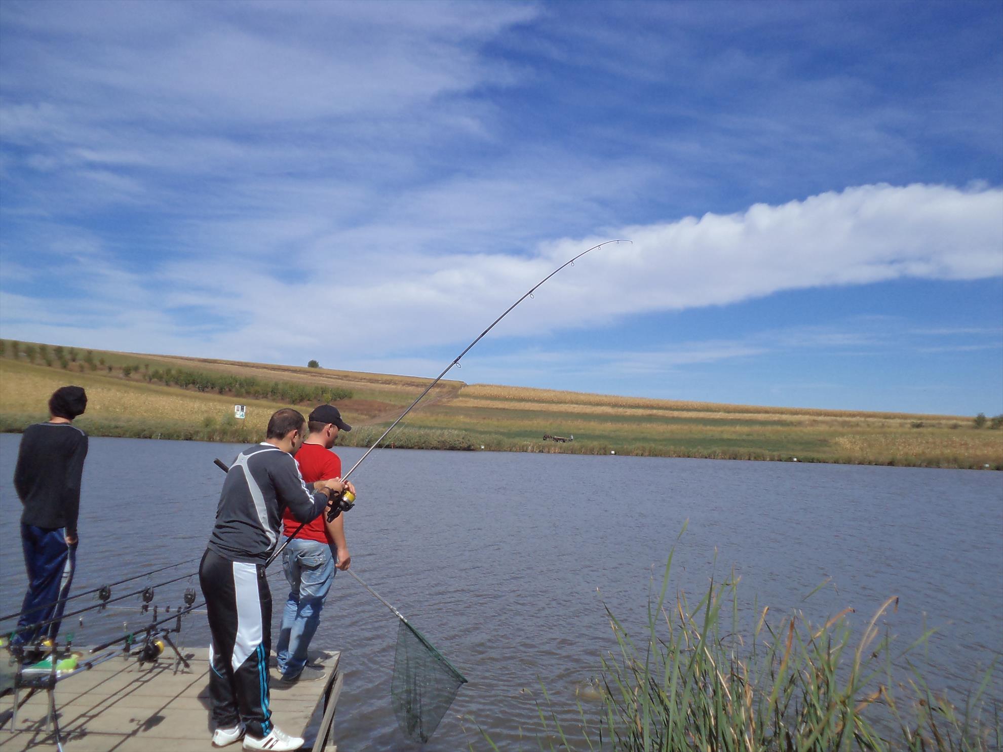 Testarea noilor bete - dsc01587.JPG